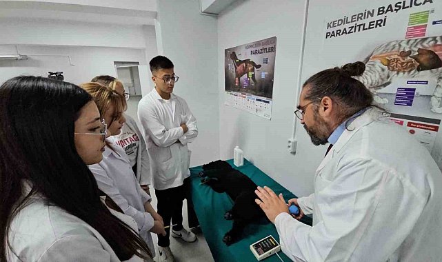 Türkiye'de bir ilk: Meslek yüksekokulunda veteriner sağlık eğitimi simülatörlerle veriliyor