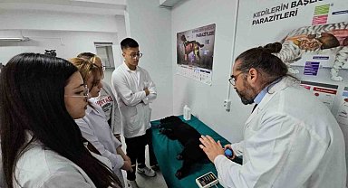 Türkiye'de bir ilk: Meslek yüksekokulunda veteriner sağlık eğitimi simülatörlerle veriliyor