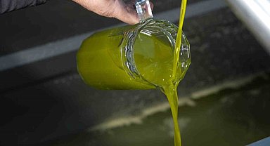 Türkiye'de satılan zeytinyağının yüzde 65'i 'Ayvalık zeytinyağı' adıyla piyasada