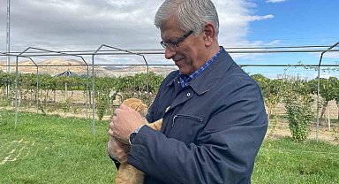 TVHB Genel Başkanı Eroğlu: "Hayvanlara verilen zarar, onlara yapılan işkence insanlık dışı şeylerdir"