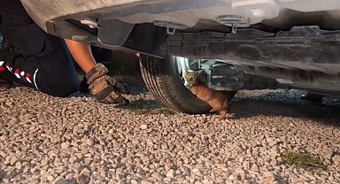 Üşüyerek aracın motoruna giren yavru kedi, itfaiye ekiplerinin çalışmasıyla kendiliğinden çıktı