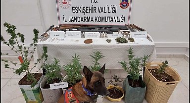 Uyuşturucu ve silah bulunduran 7 şüpheli jandarma tarafından yakalandı