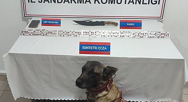 Üzerinde 170 adet uyuşturucu hapla yakalandı