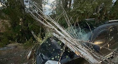 Üzerine ağaç dalı düşen araç kullanılamaz hale geldi