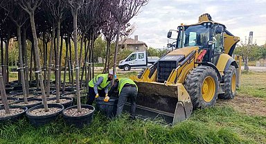 Van Büyükşehir Belediyesinden yeşillendirme çalışması