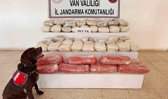Van'da 61,9 kilogram skunk ele geçirildi