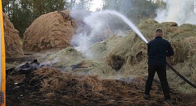 Van'da bin bağ ot yandı
