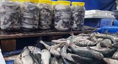 Van'da havaların soğumasıyla inci kefaline ilgi arttı