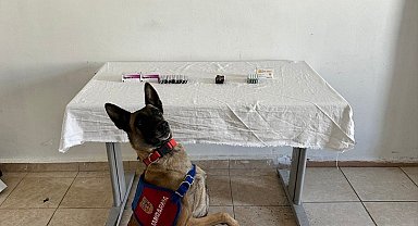 Van'da İran uyruklu şahsın üzerinden 380 adet sentetik hap ele geçirildi