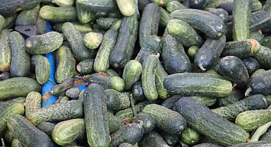 Vatandaş pahalı bulsa da almaktan vazgeçemiyor