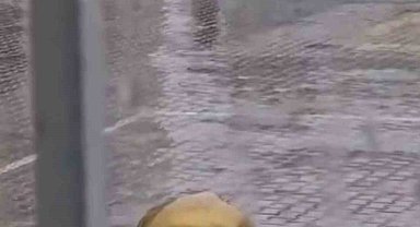 Yağmur altında İstiklal Marşı'na eşlik eden öğrenci duygulandırdı