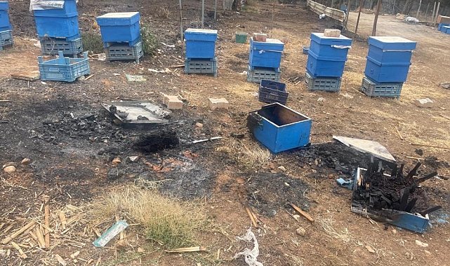 Yangın mağduru arıcılara Bursa Büyükşehirden kovan desteği