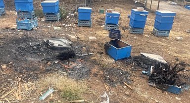 Yangın mağduru arıcılara Bursa Büyükşehirden kovan desteği