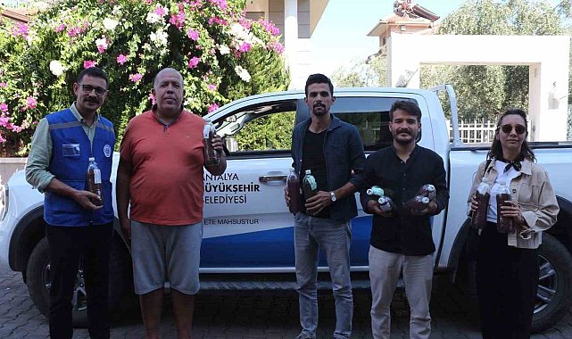 Yangınların ardından yeşil mücadele: Marmaris'ten Antalya'ya tohum desteği