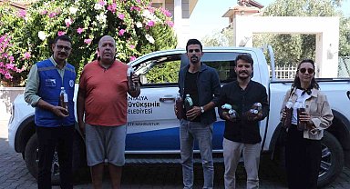 Yangınların ardından yeşil mücadele: Marmaris'ten Antalya'ya tohum desteği