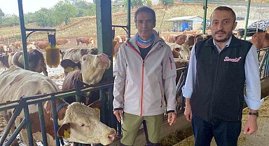 Yapay zeka süt hayvancılığında çığır açtı