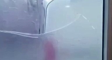 Yaşlı çift komşularının kabusu oldu