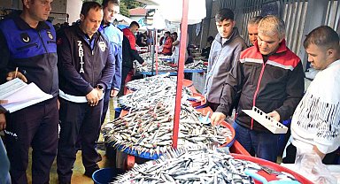 Yenişehir'de balık pazarı'na sıkı denetim