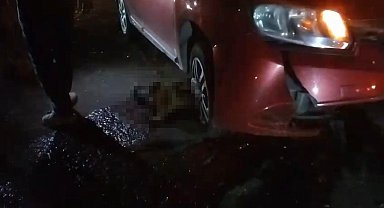 Yolda doğum yapan manda, yavrusuyla otomobil altında kalarak telef oldu