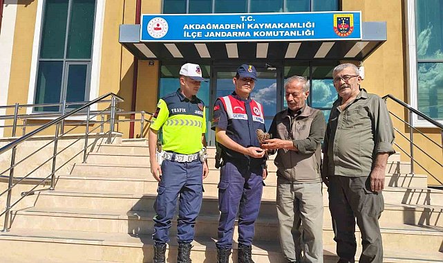 Yozgat'ta yaralı çakır kuşu bulundu