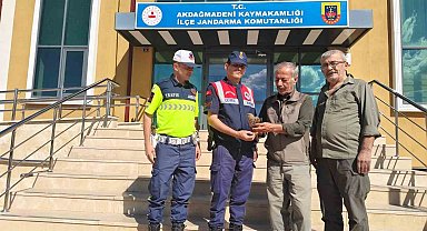 Yozgat'ta yaralı çakır kuşu bulundu