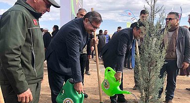 11 Kasım Milli Ağaçlandırma Günü'nde 20 bin fidan dikildi
