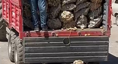 17 milyon ceza ön görülmüştü, yaptığı yanına kar kaldı