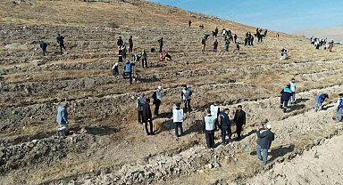 'Şahidimiz Toprak, İmzamız Fidan, Sevdamız Yeşil Vatan' Yahyalı'da hayat buldu