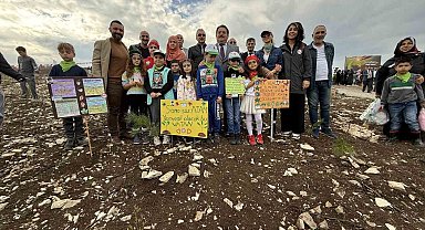 4 bin 500 fidan yanan ormanlık alanda toprakla buluştu