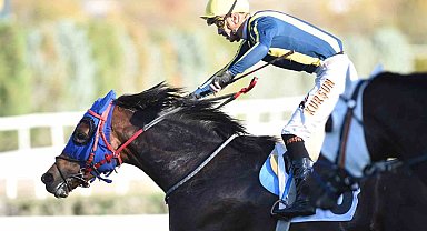 45. Cumhuriyet Koşusu ile 87. Cumhurbaşkanlığı Koşusu yapıldı