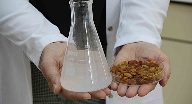 500 milyon dolarlık ihracata bilimsel kalkan