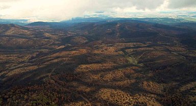953 hektar kül oldu, Bursa'yı yeniden yeşertecek 300 bin fidan için ilk adım atıldı