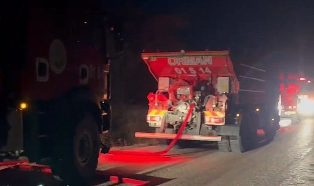 Adana'da orman yangını büyümeden söndürüldü