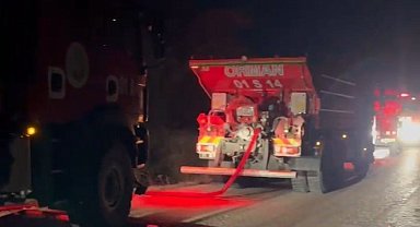 Adana'da orman yangını büyümeden söndürüldü