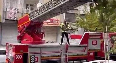 Ağaçta mahsur kalan kediyi kurtarmak için seferber oldular