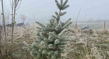 Ağrı'da kırağı etkili oldu