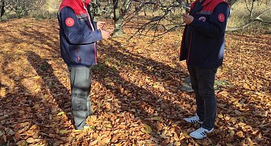 Akşehir kirazında saha incelemeleri devam ediyor