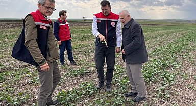 Aksoy: "Anıza ekim, yağmurun emilimini artırır ve buharlaşmayı azaltarak rutubeti toprakta tutar"