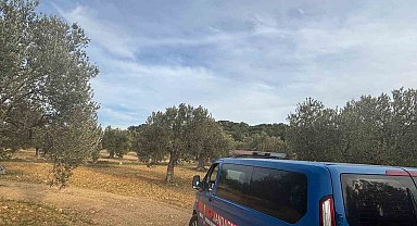 Aliağa'da zeytin hasadı başladı, güvenlik önlemleri artırıldı