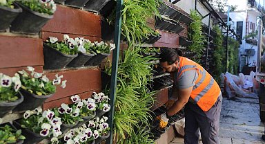 Antalya'da 4 milyon çiçek toprakla buluşuyor