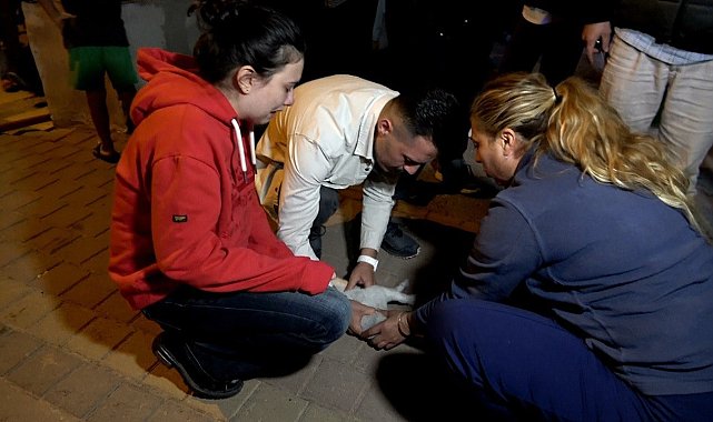 Antalya'daki yangında 2 kedi telef oldu, sahipleri gözyaşlarına boğuldu