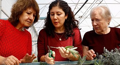 Antalya'da 'Tıbbi ve Aromatik Bitki Yetiştiriciliği' kursu ilgi görüyor
