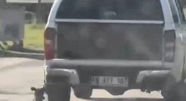 Araçla metrelerce sürüklenen köpek telef oldu: 2 gözaltı