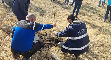 Aras EDAŞ, Milli Ağaçlandırma Günü'nde geleceğe nefes oldu