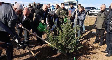 Arnavutköy'de Gazze için 10 bin fidan dikildi