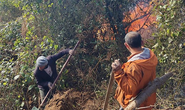 Artvin Hopa'da 5 hektarlık alanı küle çeviren yangınla mücadele sürüyor