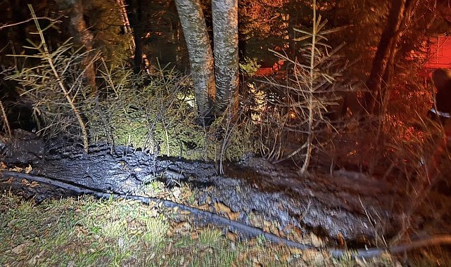 Artvin'de zirai alanda çıkan yangın kısa sürede söndürüldü