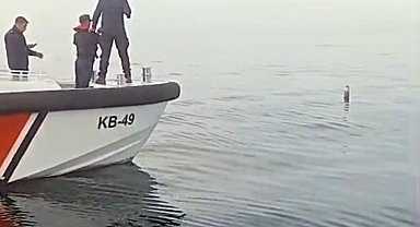 Artvin'in Hopa ilçesi açıklarında denizde roket motoru bulunduğu iddiası