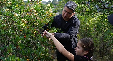 Ataşehir'de 438 metre yükseklikte çilek festivaline akın ettiler
