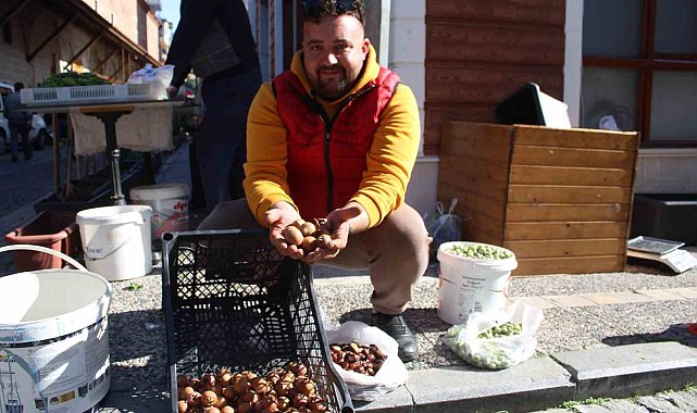 Aydın dağlarından gelen lezzet beşbıyık meyvesi tezgahlarda yerini aldı